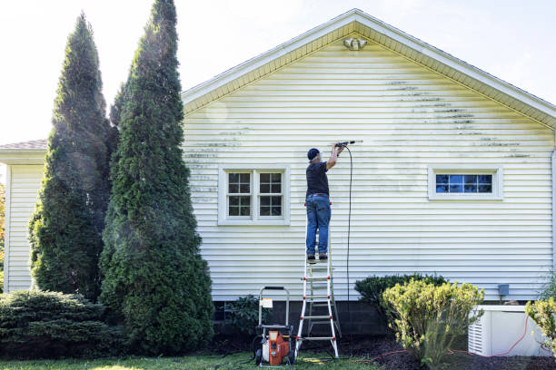 Best Building Exterior Washing  in High Bridge, NJ